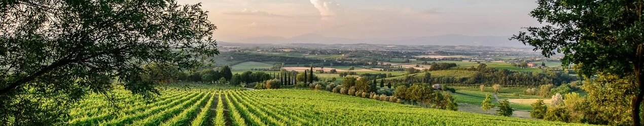 Poliziano Az. Agricola