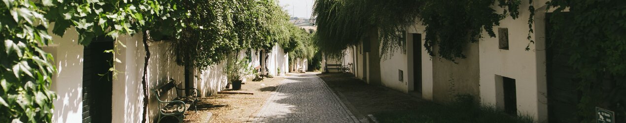 Weingut Ebner-Ebenauer