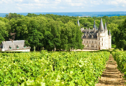 Geschichte De Ladoucette