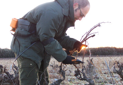 Geschichte Domaine de l'Arnèsque