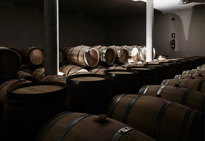 Property Bodegas Mauro