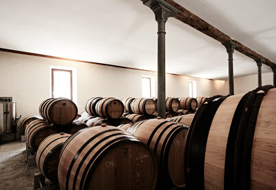 Property Dominio de Pingus