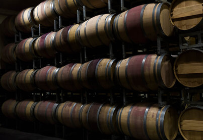 Property Domaine d'Aussières-Domaines Barons de Rothschild