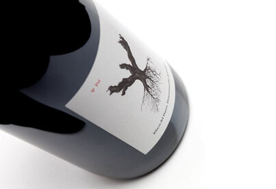 Property Bodegas y Viñedos Alnardo