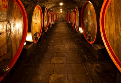 Property Castello di Albola