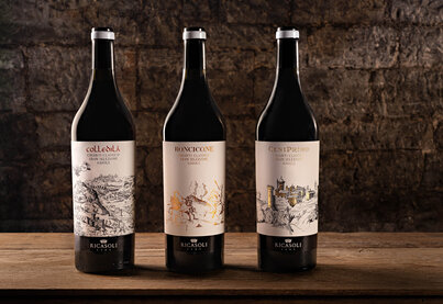 Property Barone Ricasoli