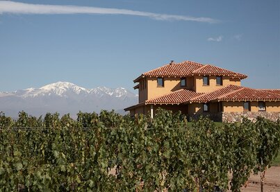 Terroir Finca Decero - Remolinos Vineyard