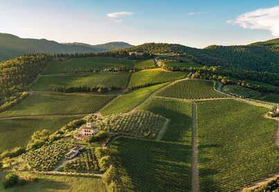 Terroir Castello di Albola