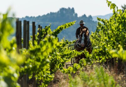Terroir Raventós i Blanc