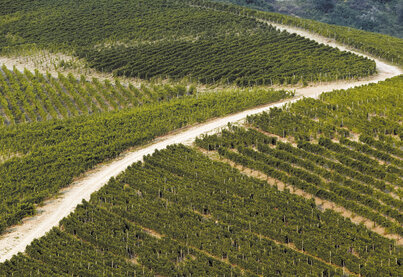 Terroir Feudi di San Gregorio