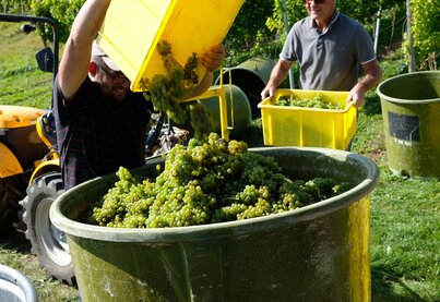 Terroir aagne Weingut