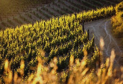 Friuli Venezia Giulia