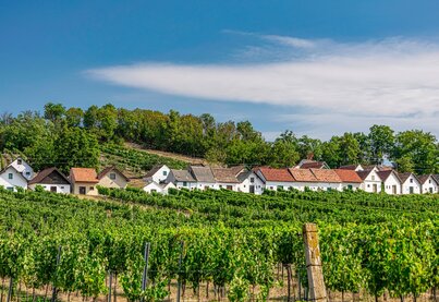 Weinviertel
