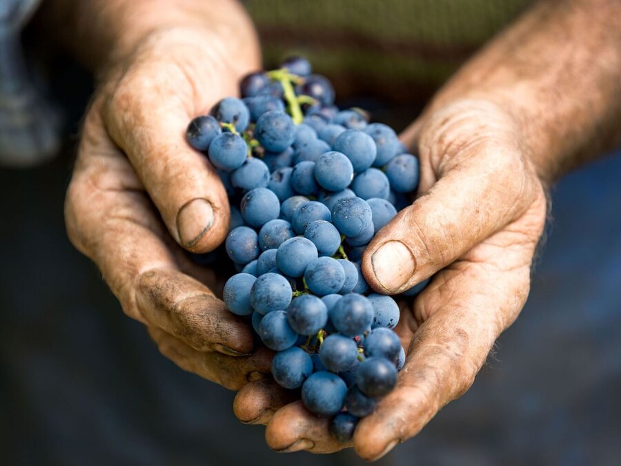 Subskription Iberien - En Primeur 2024