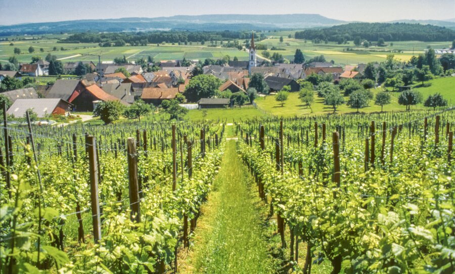 Zero'Si Sparkling 0%