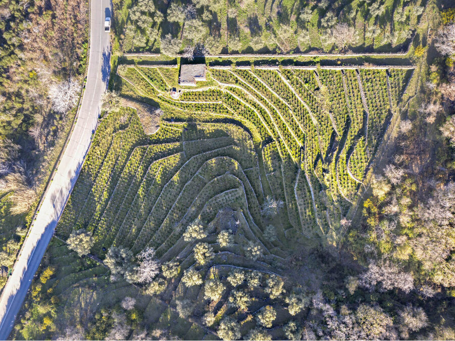 Passo       pisciaro