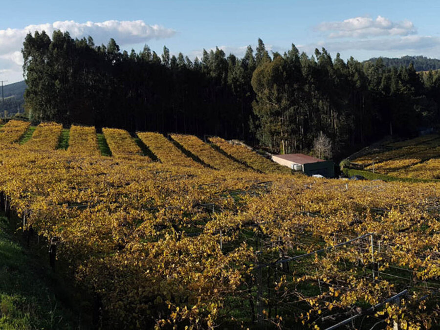 Pazo de Señorans