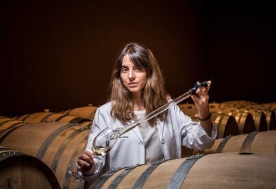 Bodegas José Pariente