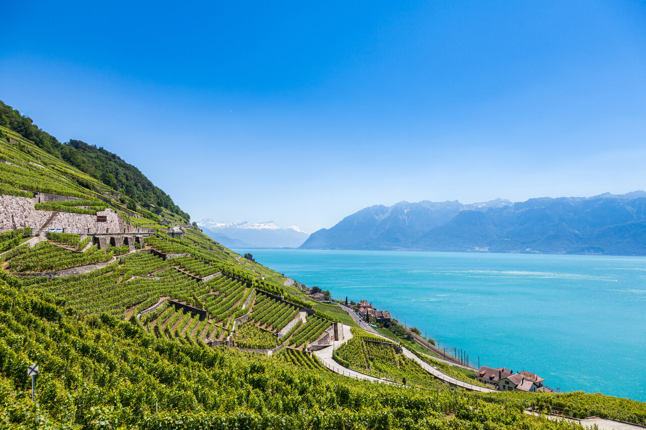 Lavaux Panorama