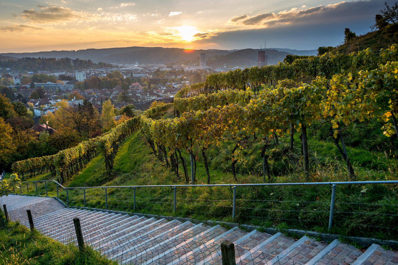Zürich 