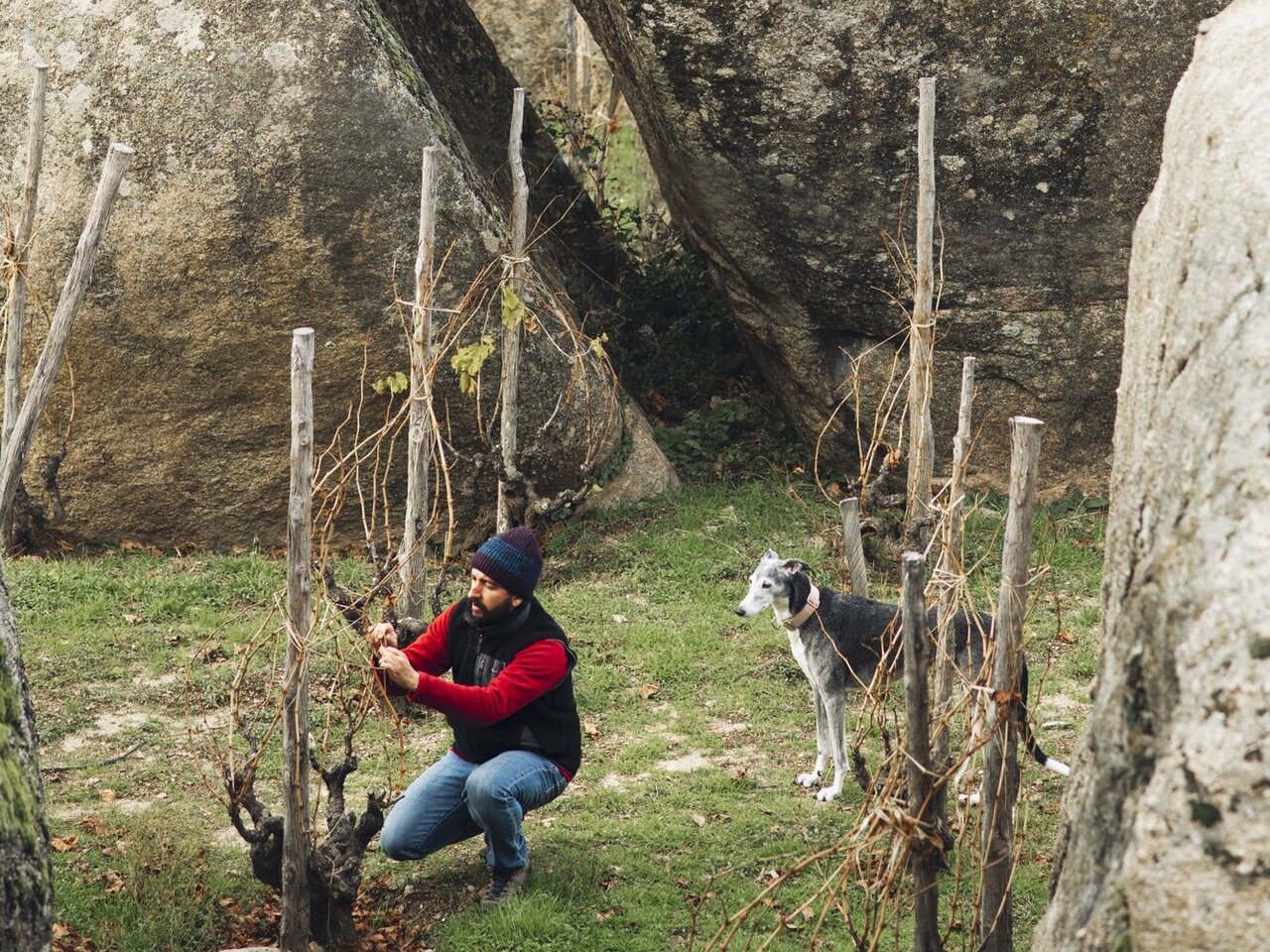 Clos d'Agon