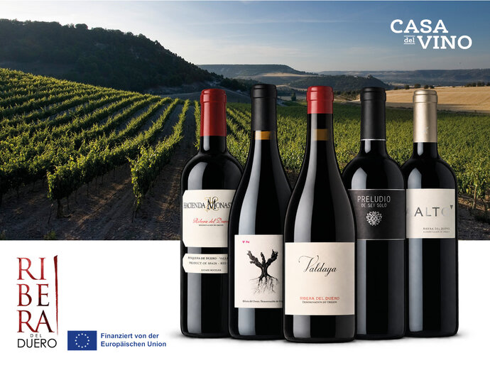 Ribera del Duero Weine