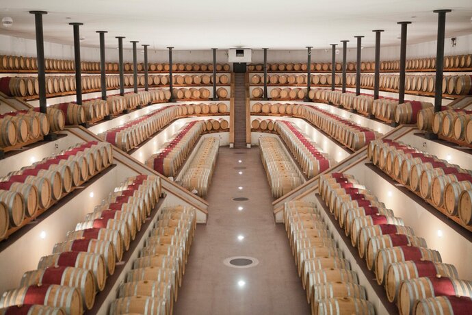 Weinkeller Vinattieri in Ligornetto Tessin