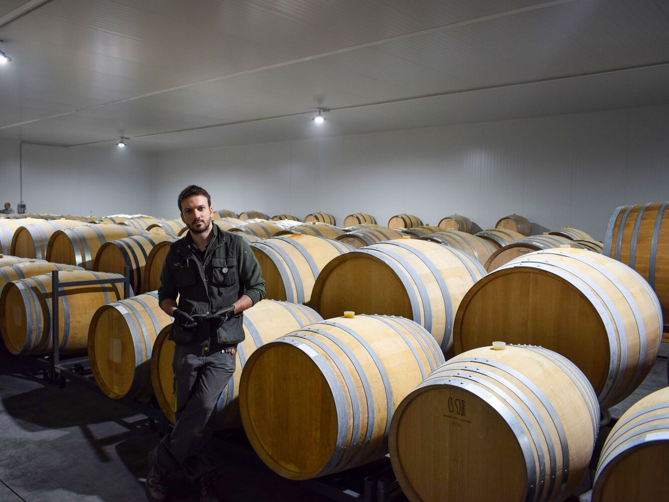 Weinkeller der Bodegas Sei Solo