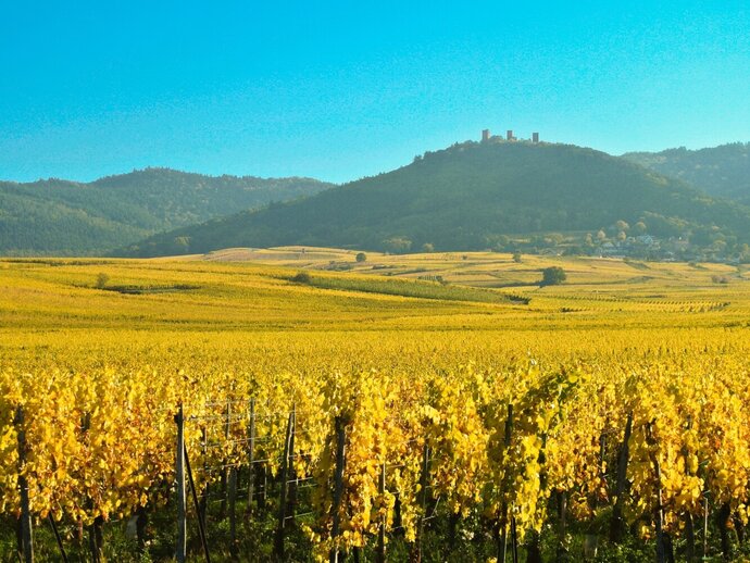 Léon Beyer in Eguisheim Elsass