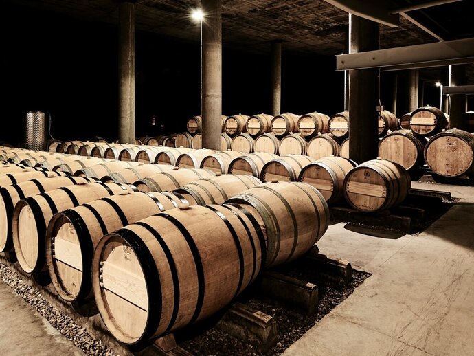 Pionieri nella Ribera del Duero