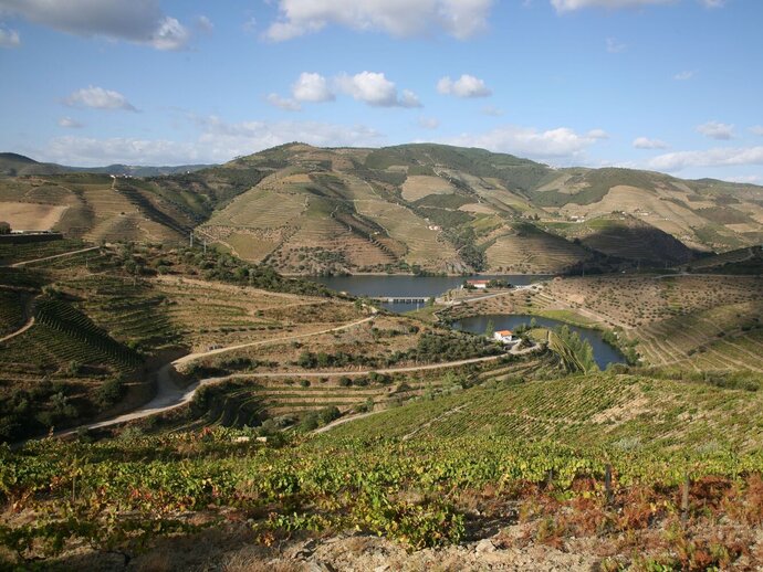 valle del Douro