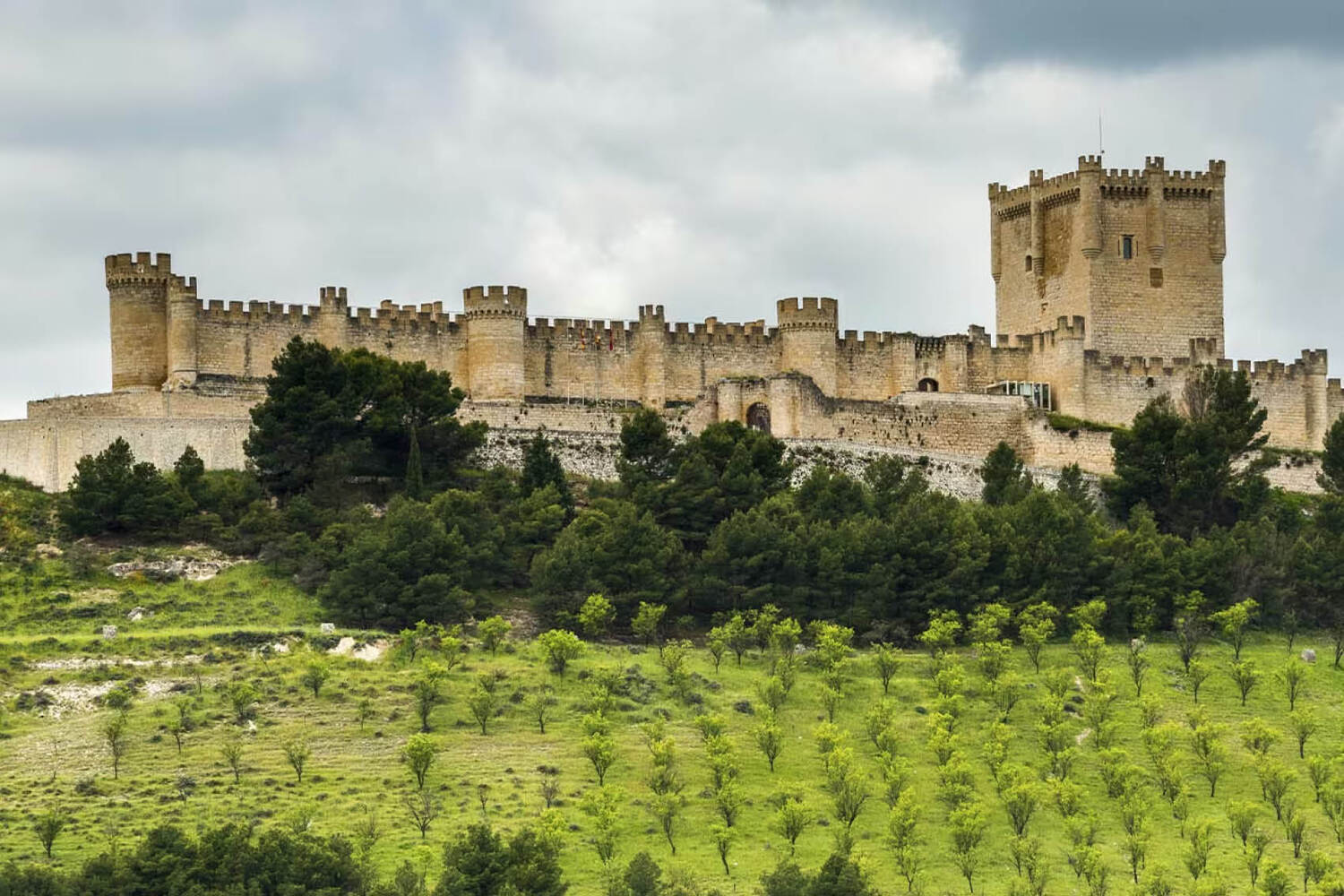 Castillo de Peñafiel