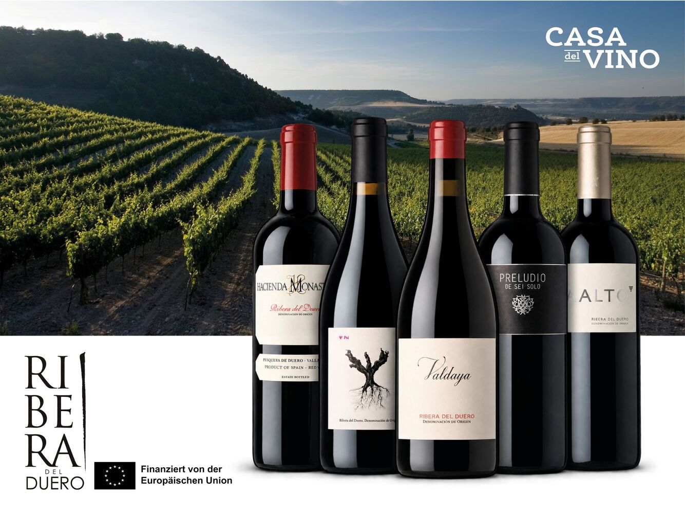 Ribera del Duero à l’honneur