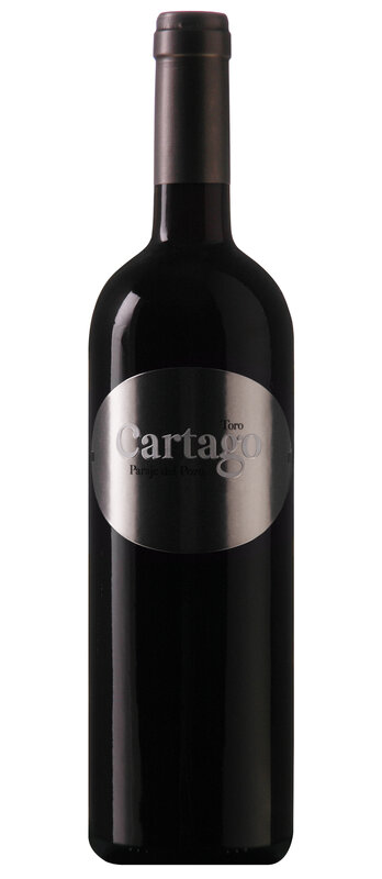 Cartago Paraje del Pozo 2017