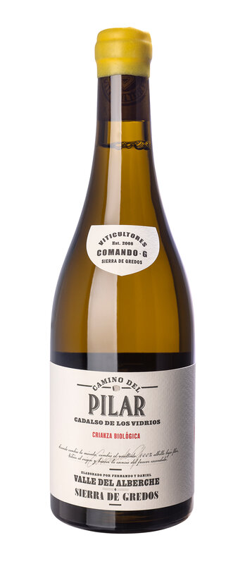 Camino del Pilar 2021