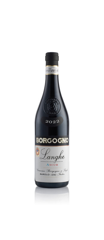 Langhe Dolcetto Ancum 2023