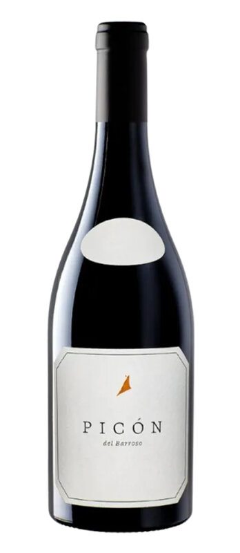 Picón del Barroso 2022 (max. 3 Flaschen)