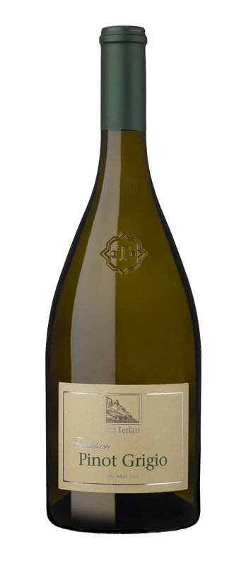 Pinot Grigio Tradition 2024