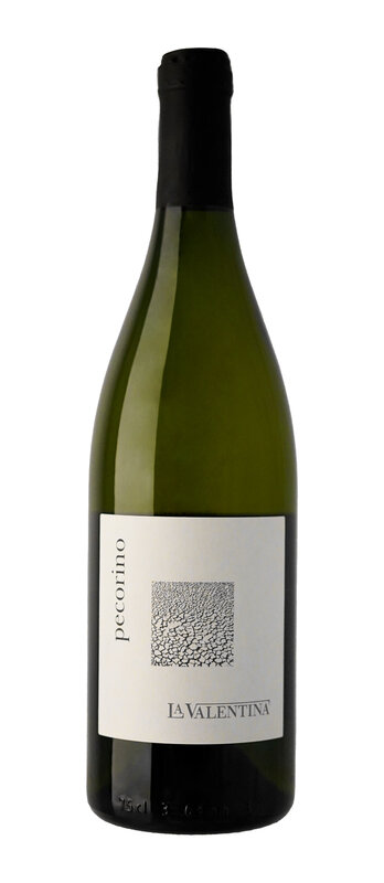 Pecorino Terre d'Abruzzo IGT 2024 